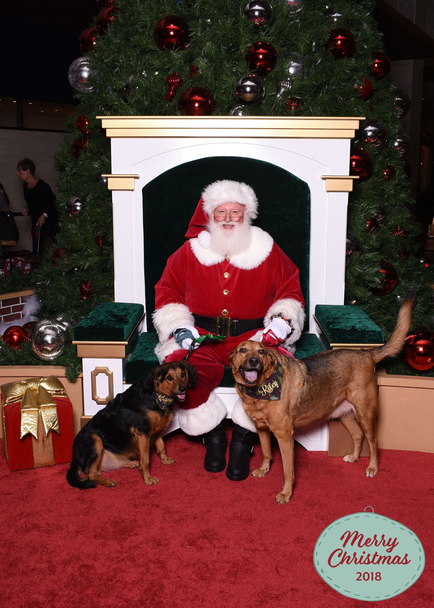 Logo for Kimie's Kritters, LLC Pet Sitting and Dog Walking